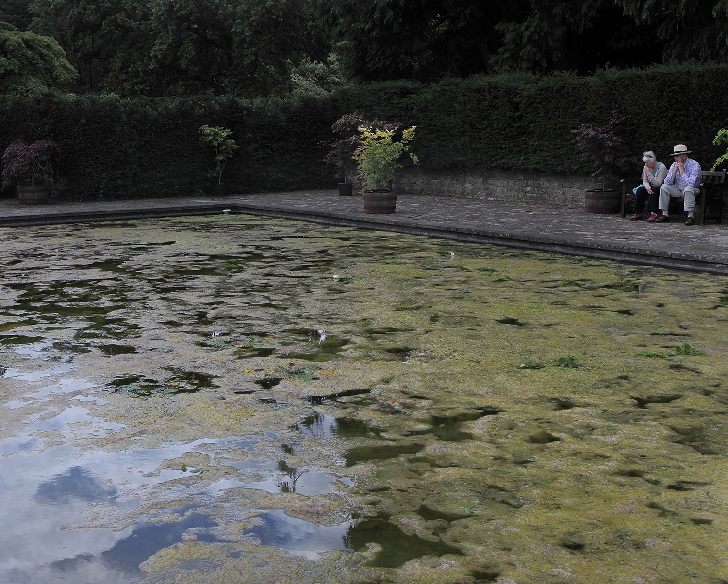 25_Reflecting Pool_Dyffryn Gardens